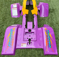 Yamaha Banshee Purple and Yellow Year 1995 Fender Set with Decal Kit™